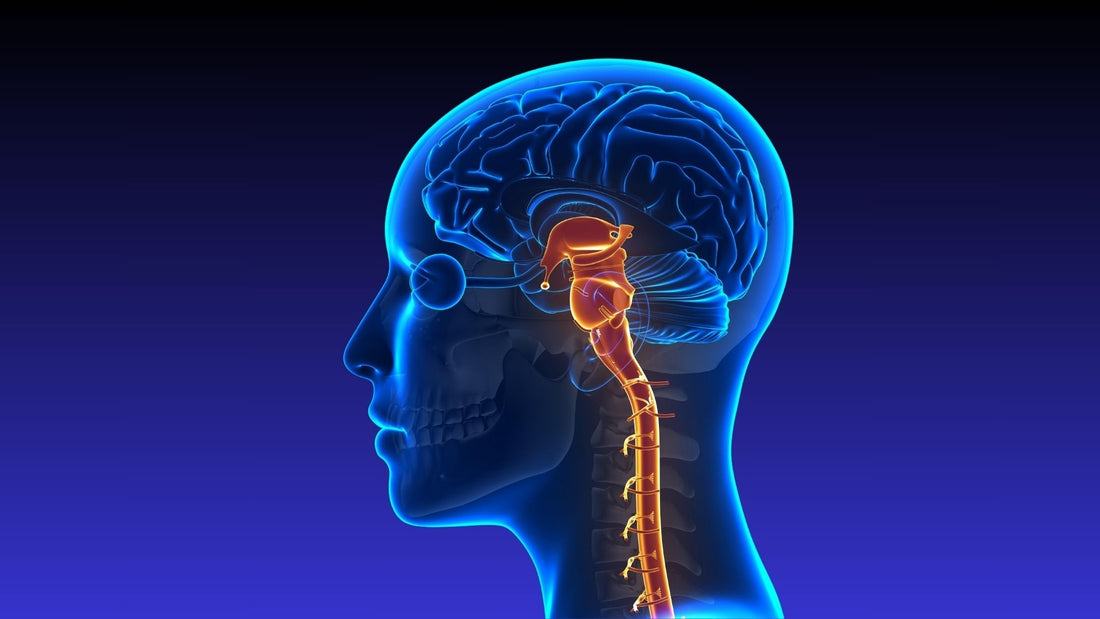 Simple Vagus Nerve Exercises to Calm the Mind (Anyone Can Do This) - Kineon