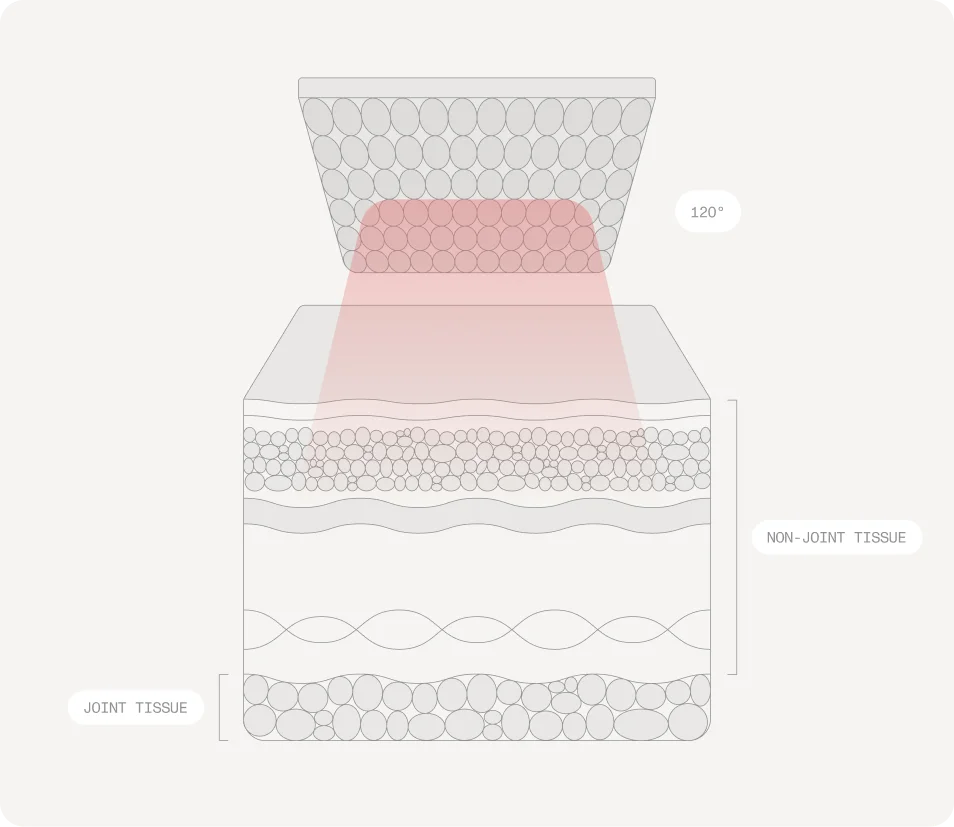 Cross-section of skin showing how red light panel light reaches the tissue beneath